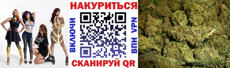 Бошки Шишки Amnesia  Галич 